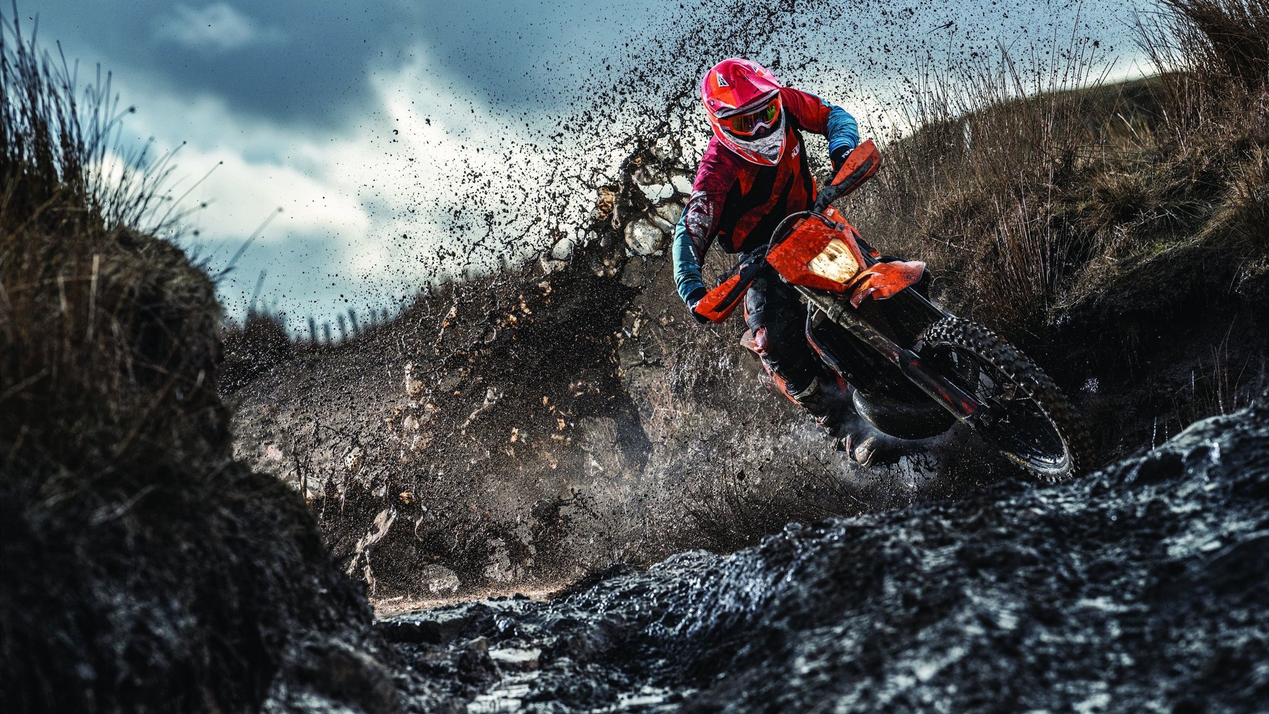 荷兰队继续强势，晋级形势一片大好